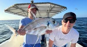 رحلة جماعية ممتعة