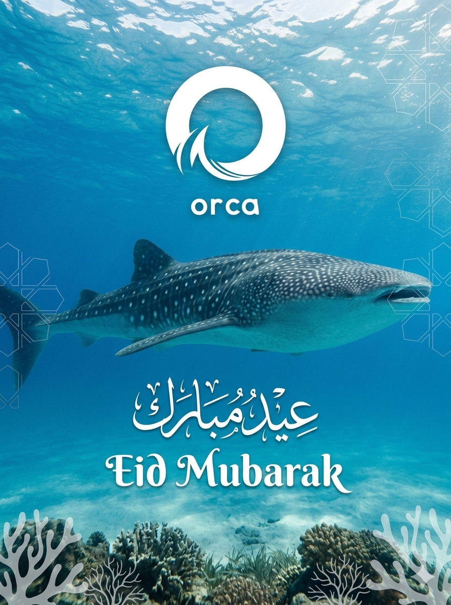 Whale Watching Adventure in Qatar